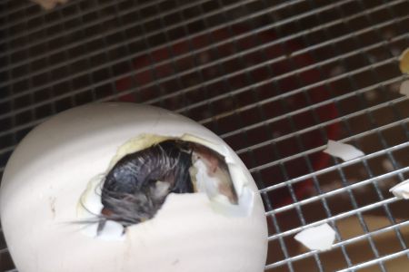 IMG-20250408-WA0009 (002).jpg